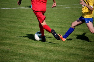 爱游戏app推荐-五大联赛是否推动球员通过站位节奏学习适应战术切换,五大联赛地位 第2张